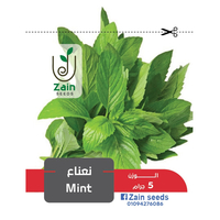 زين سيدز بذور النعناع للزراعة المنزلية - 50 بذرة